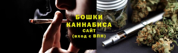 ГАЛЛЮЦИНОГЕННЫЕ ГРИБЫ Лагань