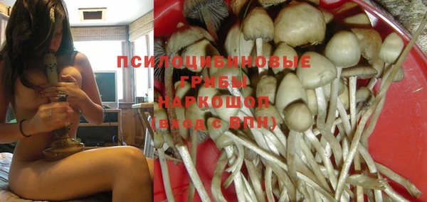 марки nbome Заводоуковск