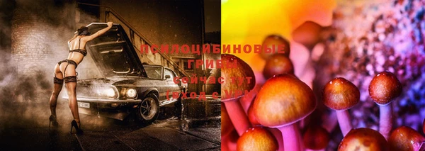 марки nbome Заводоуковск