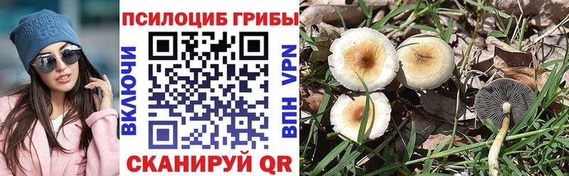 закладка  blacksprut ССЫЛКА  Псилоцибиновые грибы мицелий  Каменск-Шахтинский 